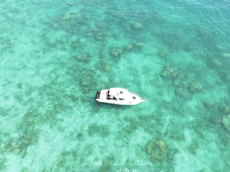 Aerial top-down view of a white speedboat anchored over a coral reef in turquoise water